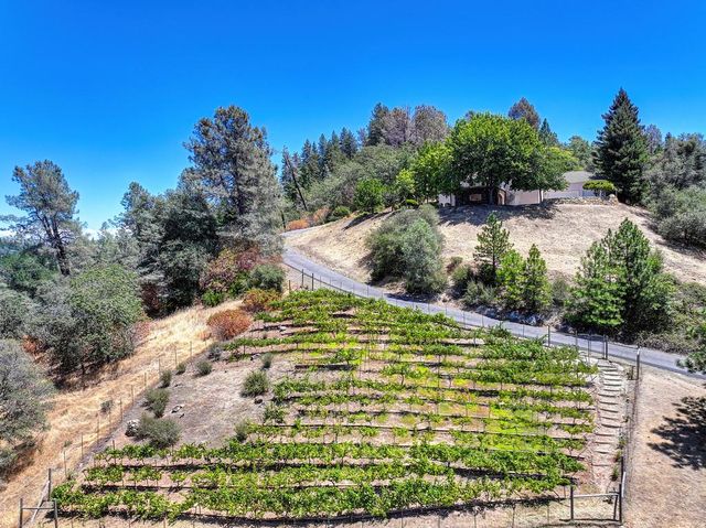 770 Bridle Path Rd, Colfax, CA 95713