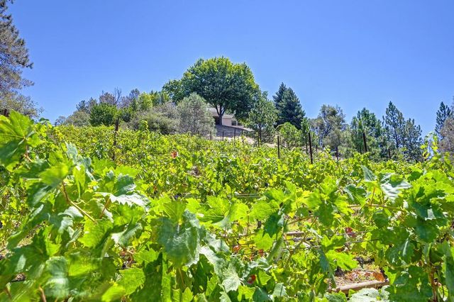 770 Bridle Path Rd, Colfax, CA 95713