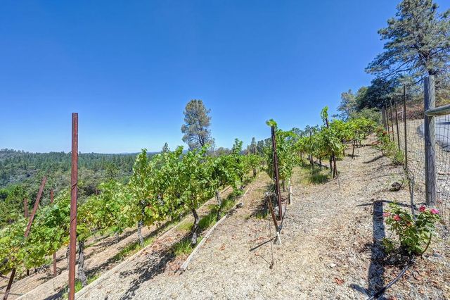 770 Bridle Path Rd, Colfax, CA 95713