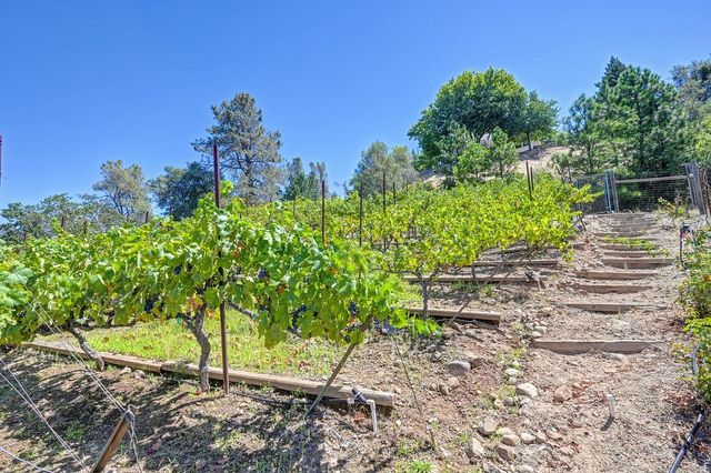 770 Bridle Path Rd, Colfax, CA 95713
