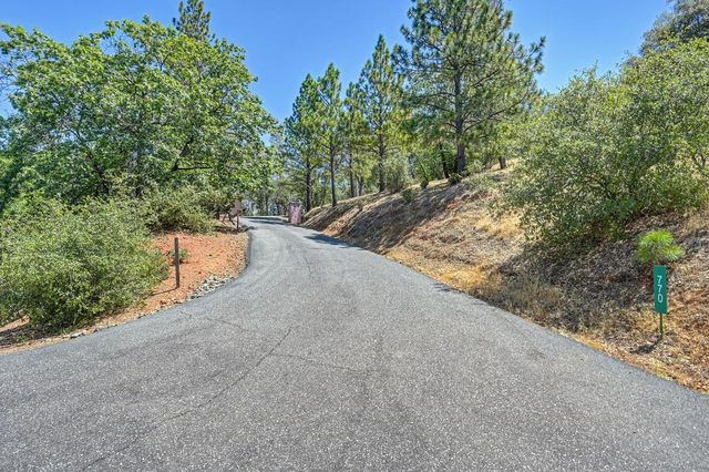 770 Bridle Path Rd, Colfax, CA 95713
