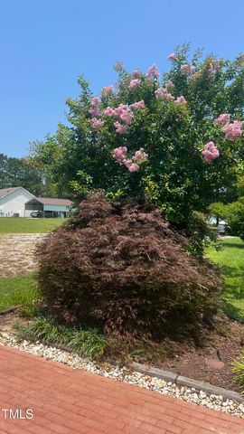 304 Topeaka Lane, Willow Springs, NC 27592