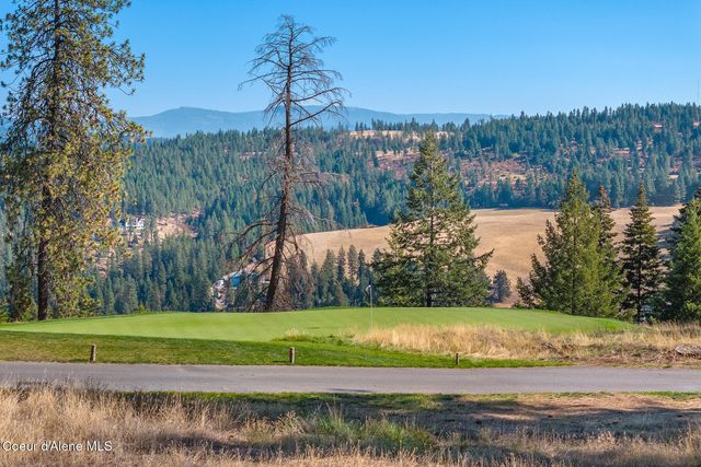 6446 S Old Barn RD, Harrison, ID 83833