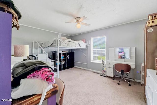 616 Hollow Drive, Strawberry Plains, TN 37871