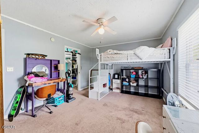 616 Hollow Drive, Strawberry Plains, TN 37871