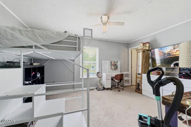 616 Hollow Drive, Strawberry Plains, TN 37871