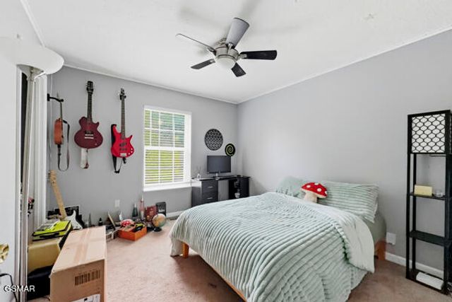 616 Hollow Drive, Strawberry Plains, TN 37871