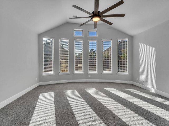 17416 Violet Vineyard St Street, Conroe, TX 77302