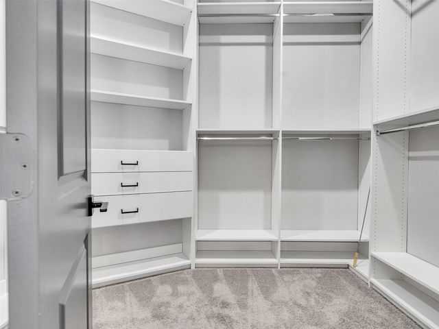 17416 Violet Vineyard St Street, Conroe, TX 77302