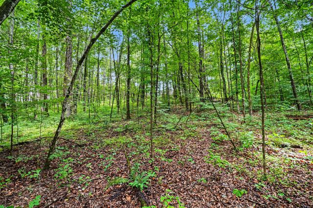 1415 Southside Rd, Southside, TN 37171