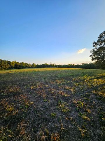 4353 Lawrence 2220, Pierce City, MO 65723