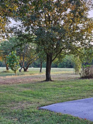 4353 Lawrence 2220, Pierce City, MO 65723