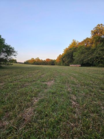 4353 Lawrence 2220, Pierce City, MO 65723