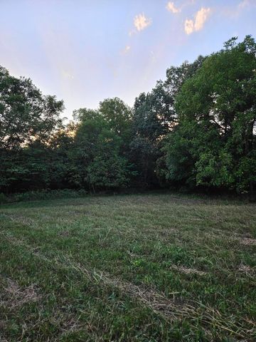 4353 Lawrence 2220, Pierce City, MO 65723