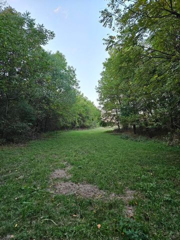 4353 Lawrence 2220, Pierce City, MO 65723