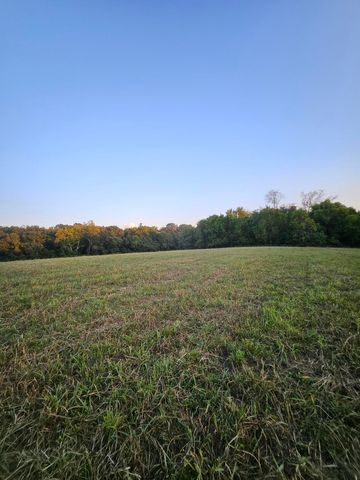 4353 Lawrence 2220, Pierce City, MO 65723