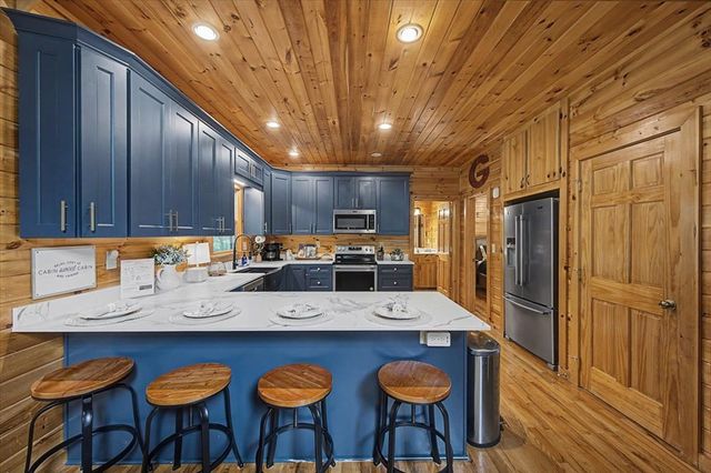 375 S Dream Catcher, Blue Ridge, GA 30513