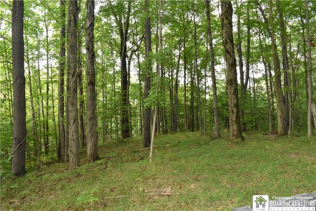 8348 Center Road, Colden, NY 14080