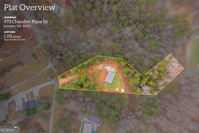473 Chandler Place Drive, Lavonia, GA 30553
