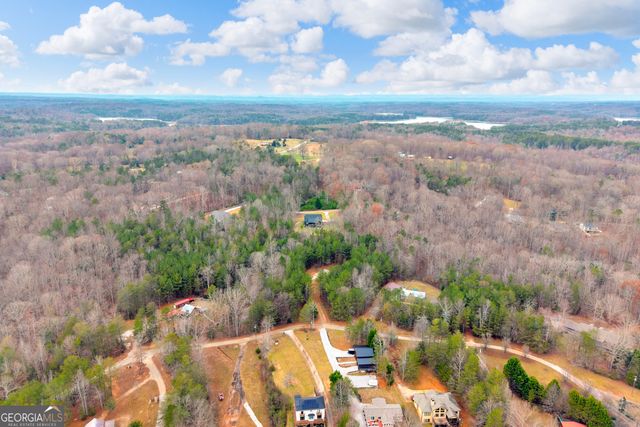 473 Chandler Place Drive, Lavonia, GA 30553