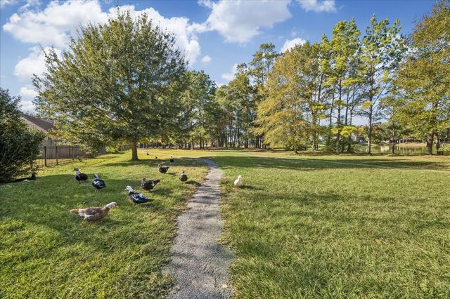 519 Trail Springs Court, Kingwood, TX 77339