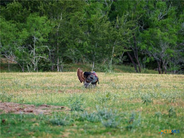 TBD Kirk Corners, Harwood, TX 78632