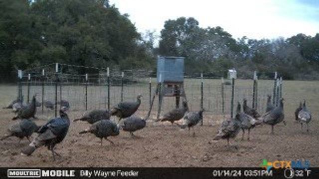 TBD Kirk Corners, Harwood, TX 78632