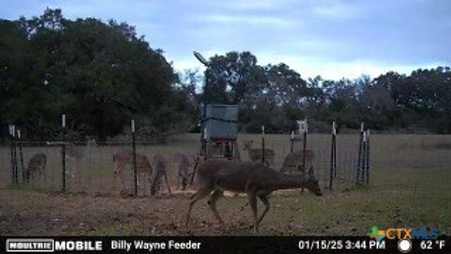 TBD Kirk Corners, Harwood, TX 78632