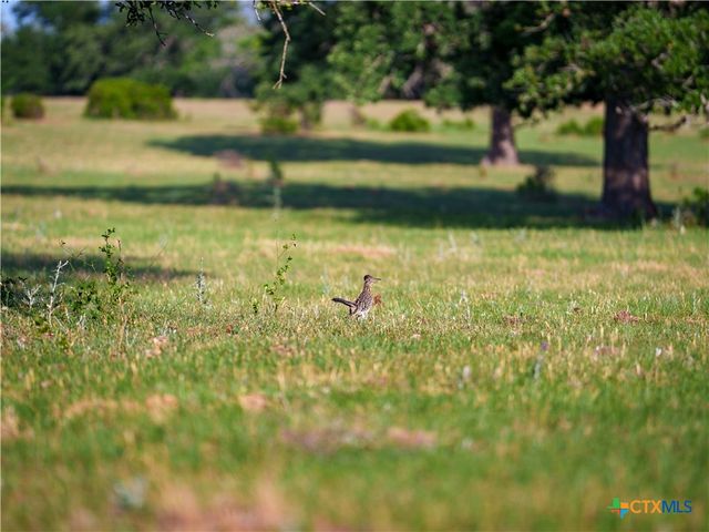 TBD Kirk Corners, Harwood, TX 78632