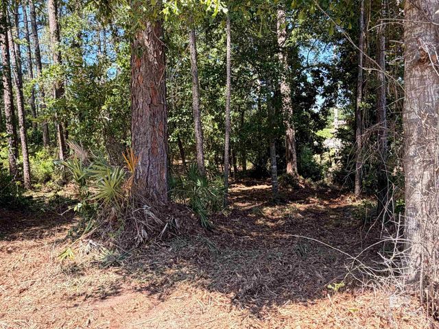 0 Woodland Drive, Elberta, AL 36530