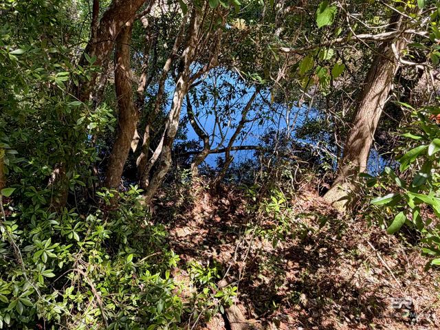 0 Woodland Drive, Elberta, AL 36530
