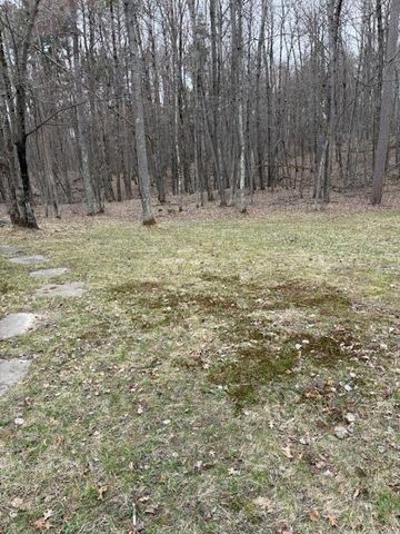 7869 Lunar Lane, Pequot Lakes, MN 56472