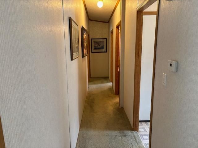 7869 Lunar Lane, Pequot Lakes, MN 56472