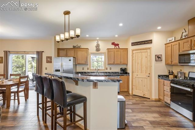 858 Fossil Creek Road, Florissant, CO 80816