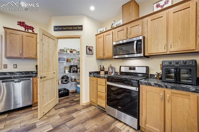 858 Fossil Creek Road, Florissant, CO 80816