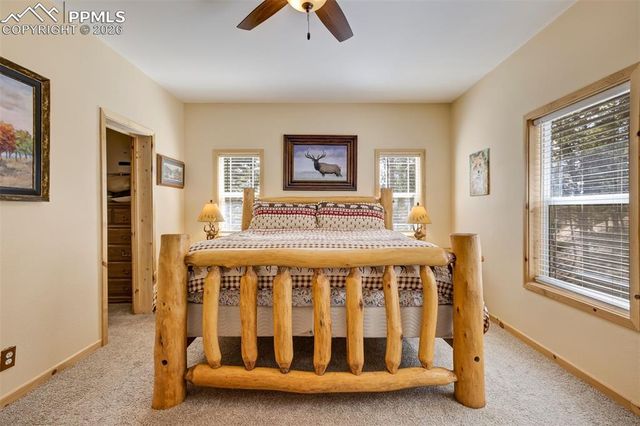 858 Fossil Creek Road, Florissant, CO 80816