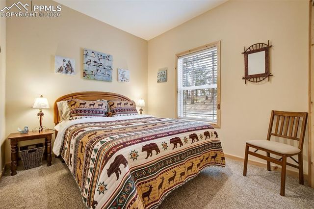 858 Fossil Creek Road, Florissant, CO 80816