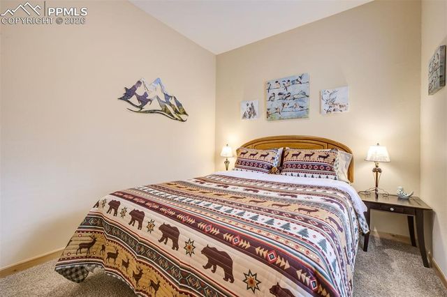858 Fossil Creek Road, Florissant, CO 80816