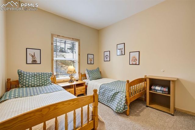 858 Fossil Creek Road, Florissant, CO 80816