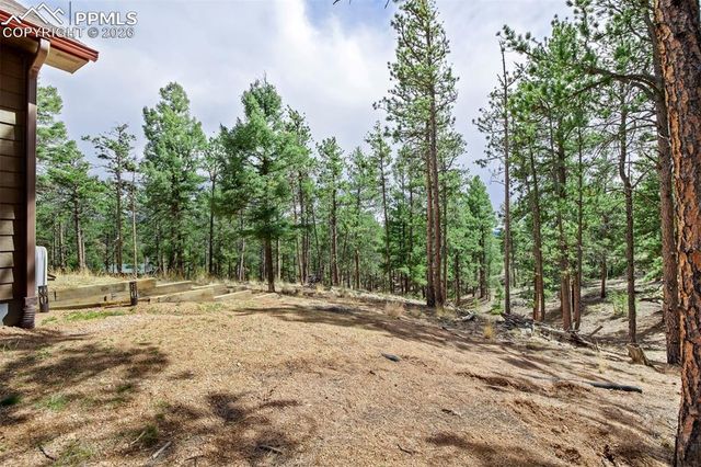 858 Fossil Creek Road, Florissant, CO 80816