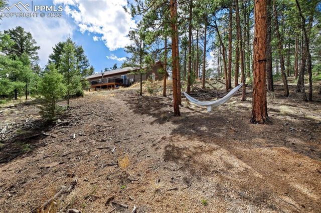 858 Fossil Creek Road, Florissant, CO 80816