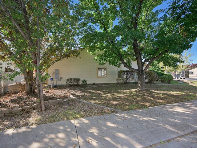 490 Forty Niner Drive, Fruita, CO 81521