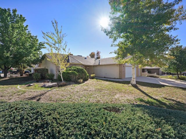 490 Forty Niner Drive, Fruita, CO 81521