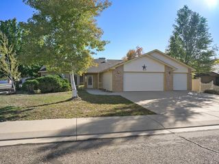 490 Forty Niner Drive, Fruita, CO 81521