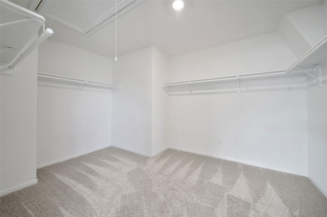 20864 Sheffield Park Drive, Porter, TX 77365