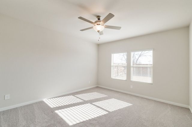 4816 Hunter Hurst Drive, Princeton, TX 75071