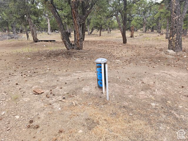 7124 S 38700 DIRT #10, Fruitland, UT 84027