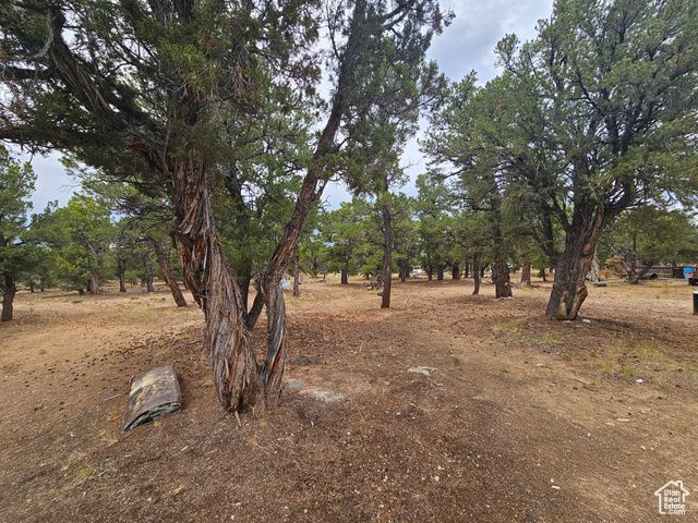 7124 S 38700 DIRT #10, Fruitland, UT 84027