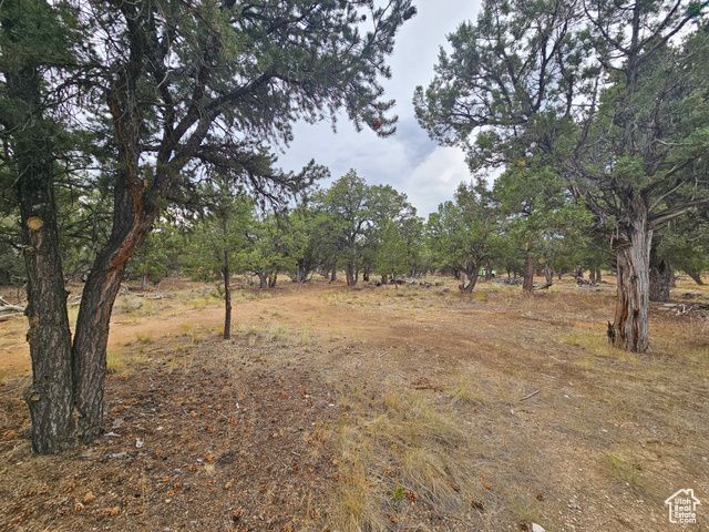 7124 S 38700 DIRT #10, Fruitland, UT 84027