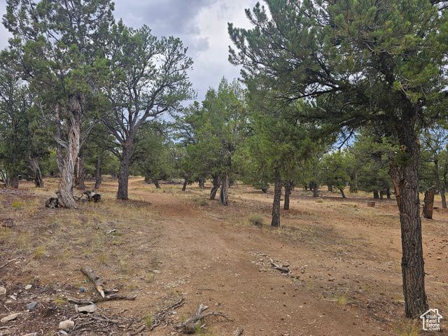 7124 S 38700 DIRT #10, Fruitland, UT 84027